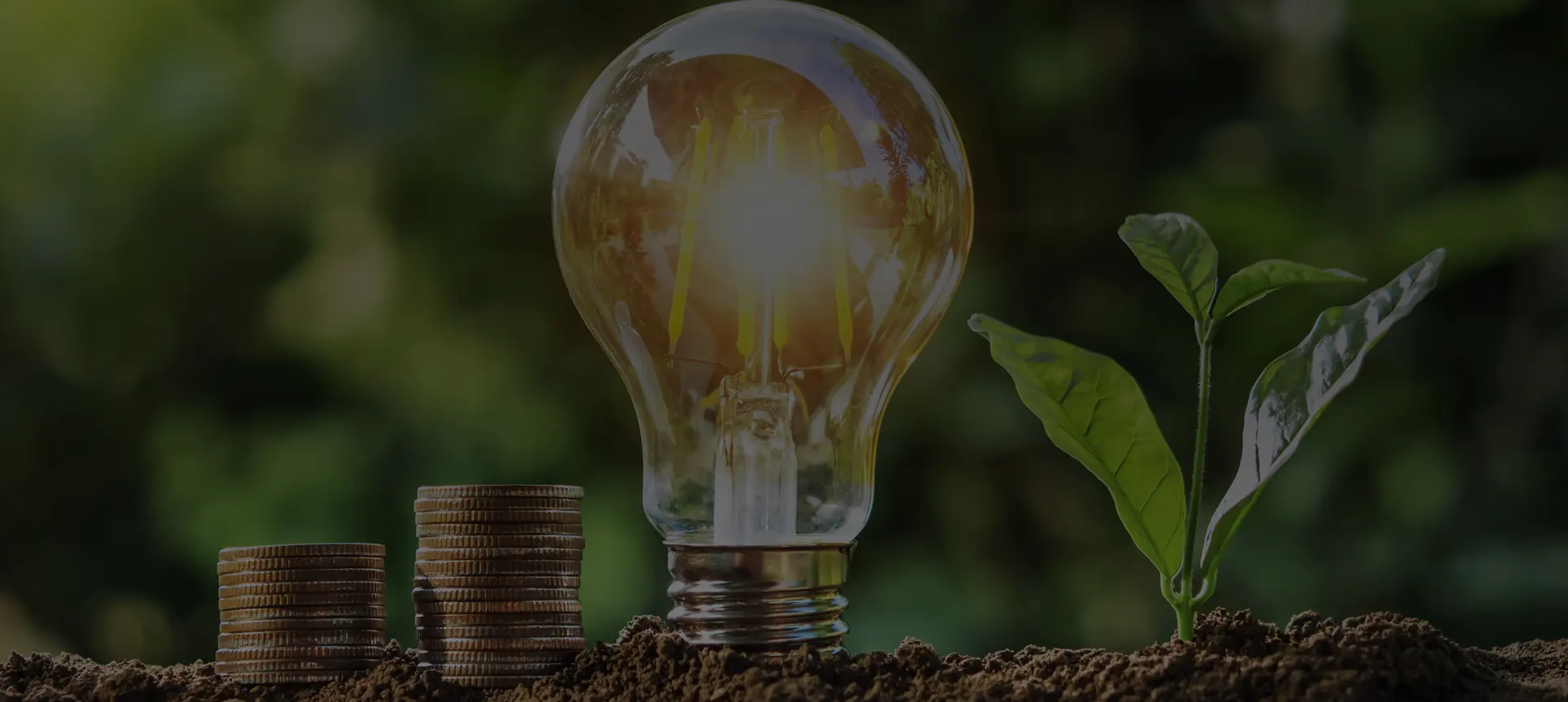 La grande transition vers les energies renouvelables